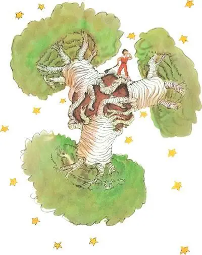 Its all about discipline the Little Prince told me later After making - фото 20