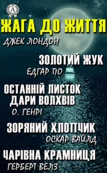 Едгар По - Жага до життя - Золотий жук, Останній листок, Дари волхвів, Зоряний хлопчик, Чарівна крамниця