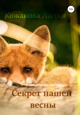 Лилия Кожанова Секрет нашей весны обложка книги