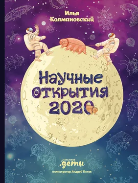 Илья Колмановский Научные открытия 2020 обложка книги