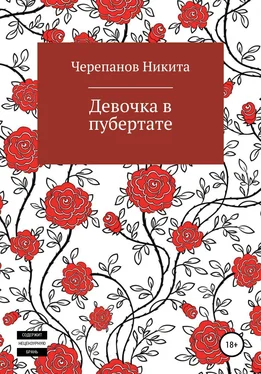 Никита Черепанов Девочка в пубертате обложка книги