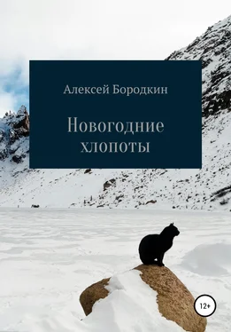 Алексей Бородкин Новогодние хлопоты обложка книги