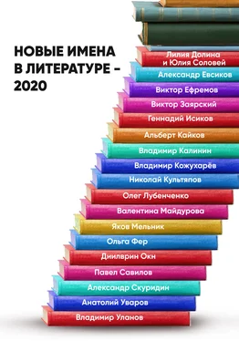 Анастасия Лямина Новые имена в литературе – 2020 обложка книги