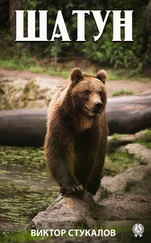 Виктор Стукалов - Шатун