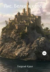 Георгий Крол - Лис. Белки в колесе