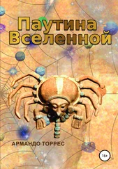 Армандо Торрес - Паутина Вселенной