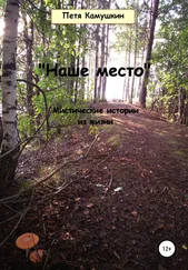 Петя Камушкин - Наше место