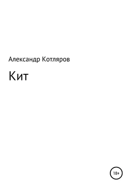 Александр Котляров Кит обложка книги