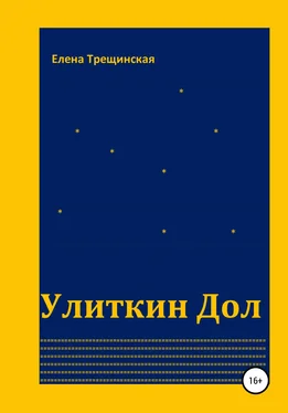 Елена Трещинская Улиткин Дол обложка книги