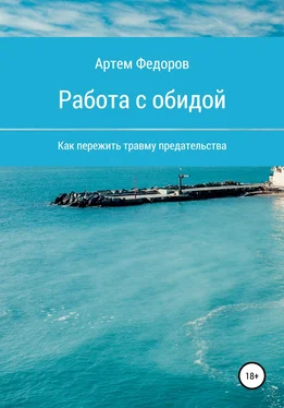 Артем Федоров Работа с обидой обложка книги