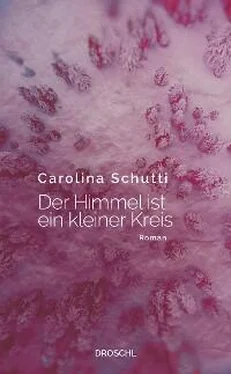 Carolina Schutti Der Himmel ist ein kleiner Kreis обложка книги