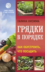 Галина Кизима - Грядки в порядке. Как обустроить, что посадить