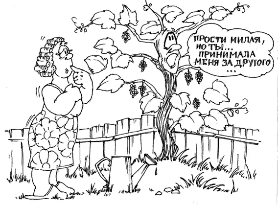 Но вы не знаете о чём спрашивать или стесняетесь обидеть продавца - фото 3