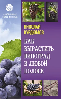 Николай Курдюмов Как вырастить виноград в любой полосе обложка книги