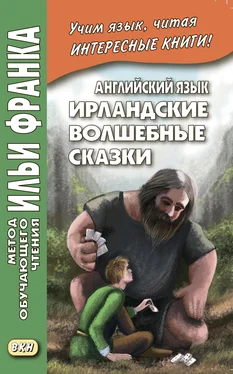 Array Сборник Английский язык. Ирландские волшебные сказки / Irish Fairy Tales обложка книги