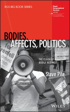 Steve Pile Bodies, Affects, Politics обложка книги