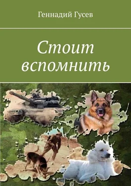 Геннадий Гусев Стоит вспомнить обложка книги