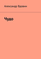Александр Вдовин - Чудо
