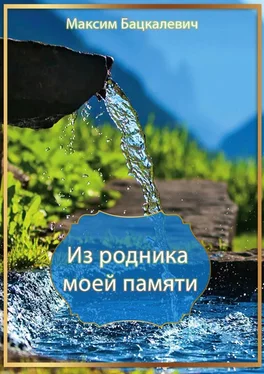 Максим Бацкалевич Из родника моей памяти обложка книги