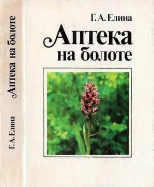 Галина Елина Аптека на болоте обложка книги