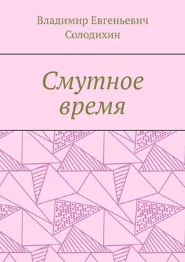 Владимир Солодихин Смутное время обложка книги
