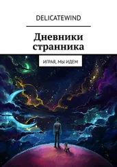 DelicateWind - Дневники странника. Играя, мы идем