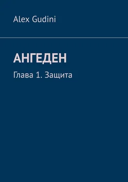 Alex Gudini Ангеден. Глава 1. Защита обложка книги