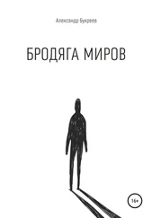 Александр Букреев - Бродяга миров