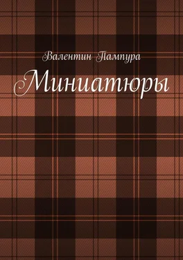 Валентин Пампура Миниатюры обложка книги