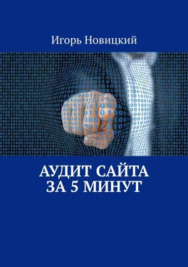 Игорь Новицкий Аудит сайта за 5 минут обложка книги