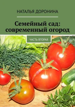 Наталья Доронина Семейный сад: современный огород. Часть вторая обложка книги