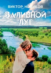 Виктор Новиков - Заливной луг