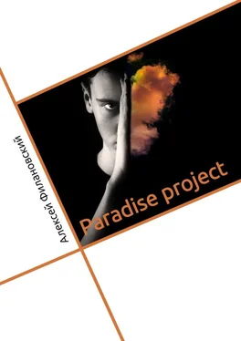 Алексей Филановский Paradise project обложка книги