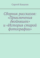 Сергей Ковалев - Сборник рассказов - «Приключения двойняшек» и «История старой фотографии»