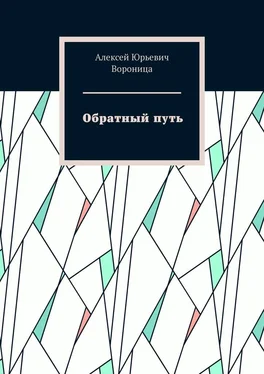 Алексей Вороница Обратный путь обложка книги