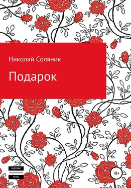 Николай Соляник Подарок обложка книги
