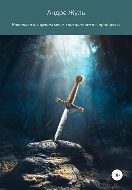 Андре Жуль Новелла о вынутом мече, спасшем честь принцессы обложка книги