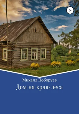 Михаил Поборуев Дом на краю леса обложка книги