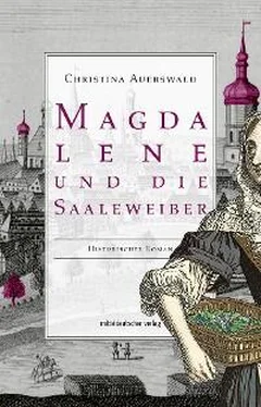 Christina Auerswald Magdalene und die Saaleweiber обложка книги