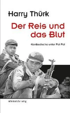 Harry Thürk Der Reis und das Blut обложка книги