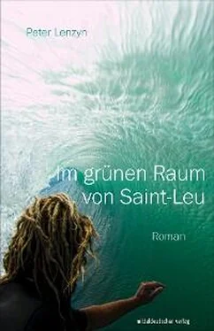 Peter Lenzyn Im grünen Raum von Saint-Leu обложка книги