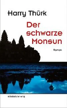 Harry Thürk Der schwarze Monsun обложка книги
