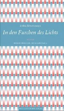 Zoltán Böszörményi In den Furchen des Lichts обложка книги