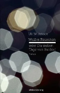 Uli Wittstock Weißes Rauschen oder Die sieben Tage von Bardorf обложка книги