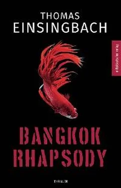 Thomas Einsingbach Bangkok Rhapsody обложка книги