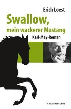 Erich Loest Swallow, mein wackerer Mustang обложка книги