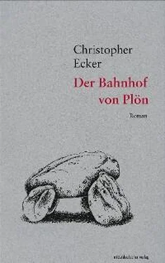 Christopher Ecker Der Bahnhof von Plön обложка книги