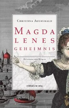 Christina Auerswald Magdalenes Geheimnis обложка книги