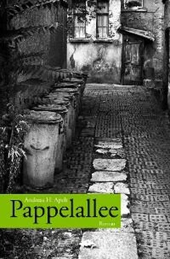 Andreas H. Apelt Pappelallee обложка книги