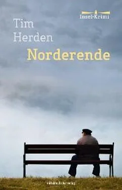 Tim Herden Norderende обложка книги